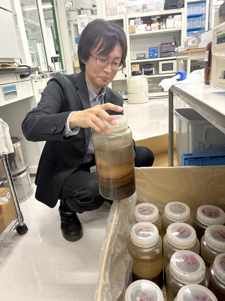 各地で採集した堆積物と水をポリ瓶に入れ、実験室で静置しているところ。